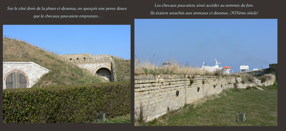 acces_chevaux